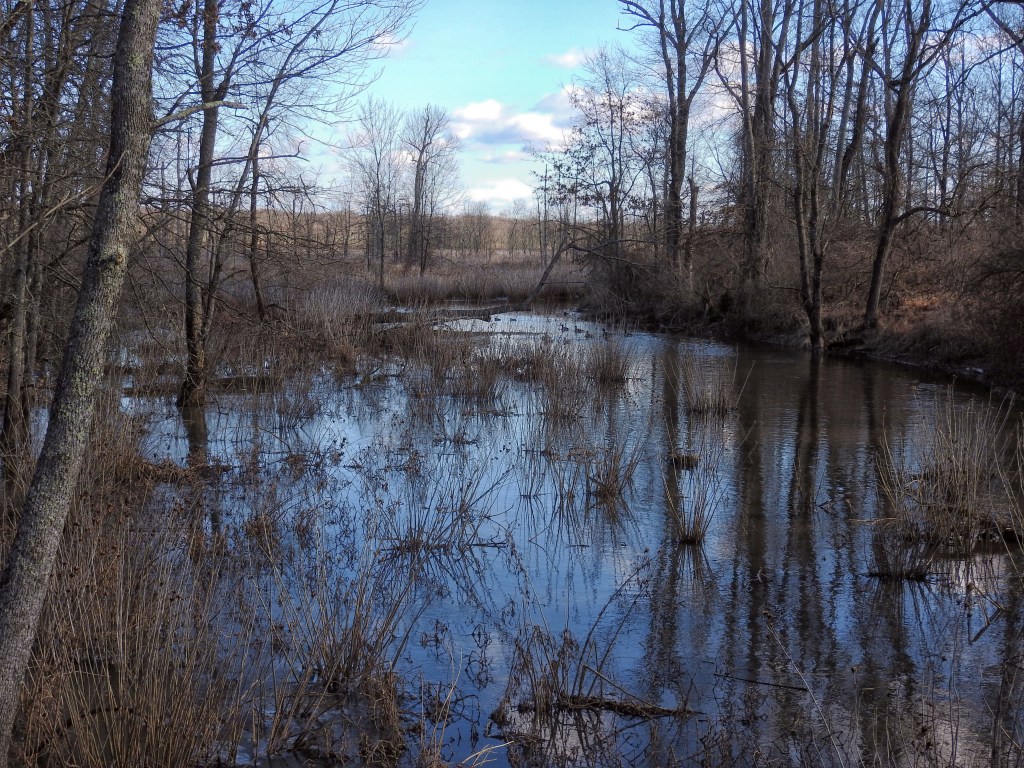 Great Swamp NWR: Overlook - National Parks With T